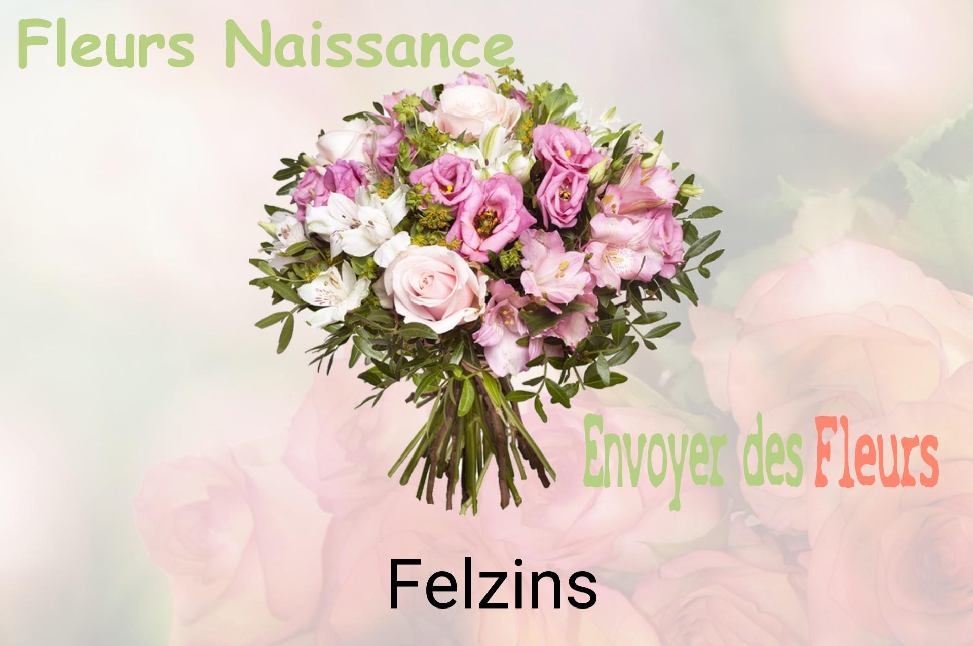 Bouquet de fleurs de naissance livré à Felzins
